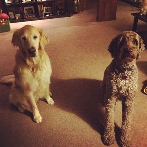 Meet your Posher, Jill